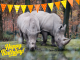 verjaardagskaart neushoorn